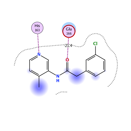 ligand interaction