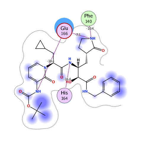 ligand interaction