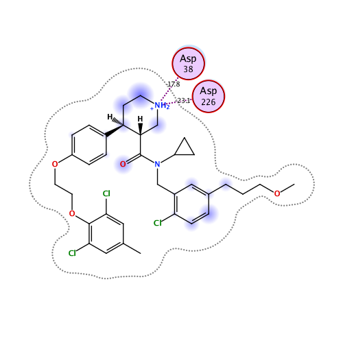 ligand interaction