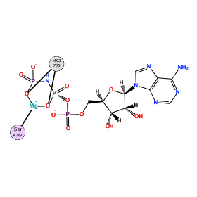 ligand structure
