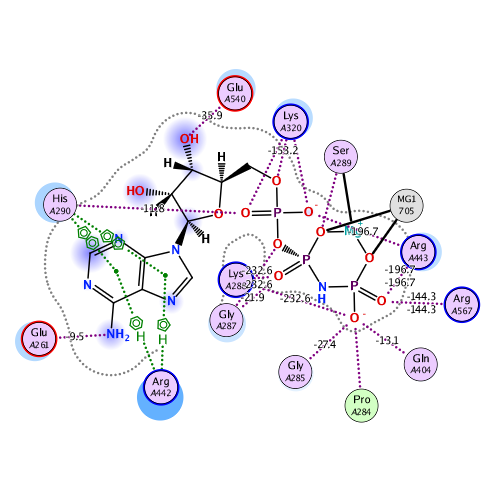 ligand interaction