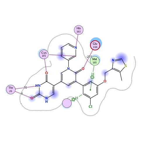 ligand interaction