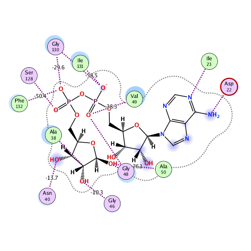ligand interaction