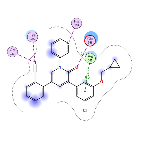 ligand interaction