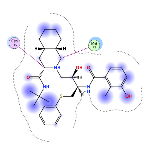 ligand interaction