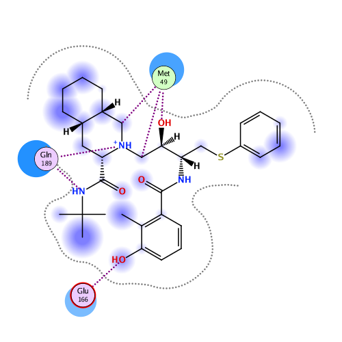 ligand interaction