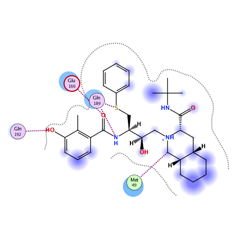 ligand interaction