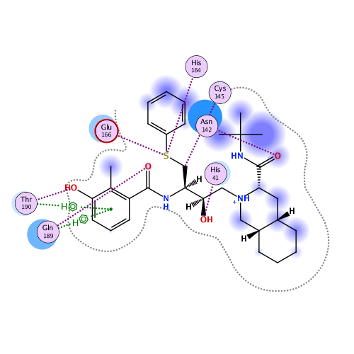 ligand interaction