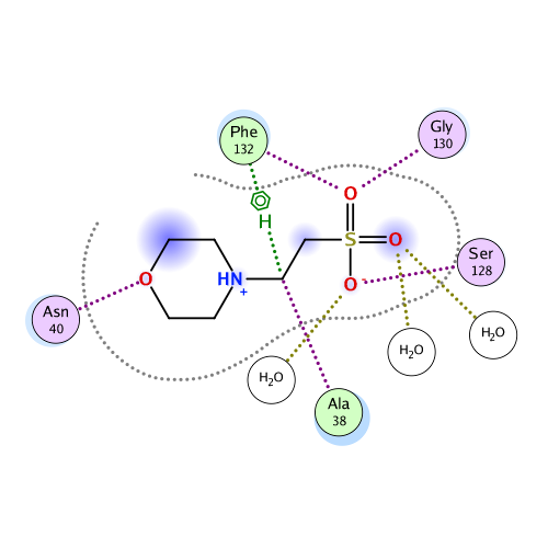 ligand interaction