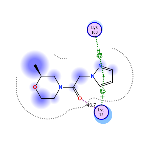 ligand interaction