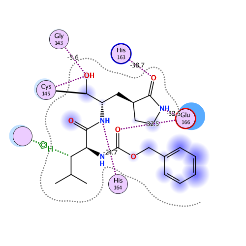 ligand interaction