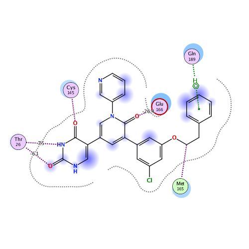 ligand interaction