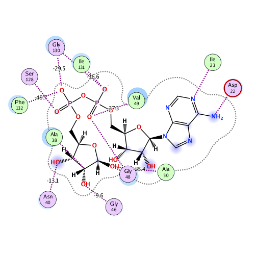 ligand interaction