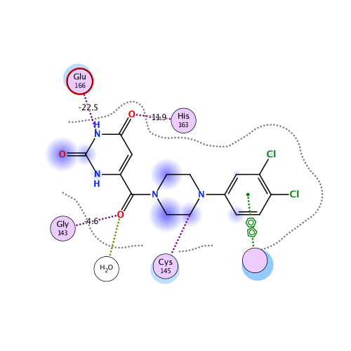 ligand interaction