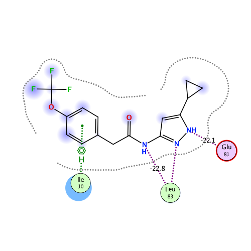 ligand interaction