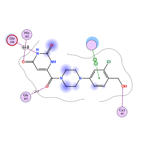 ligand interaction