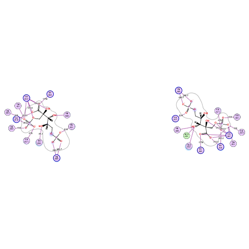 ligand interaction