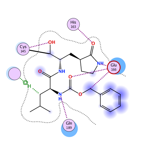 ligand interaction