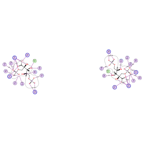 ligand interaction