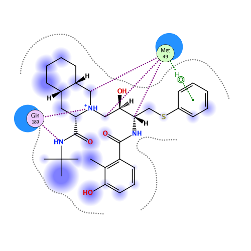 ligand interaction