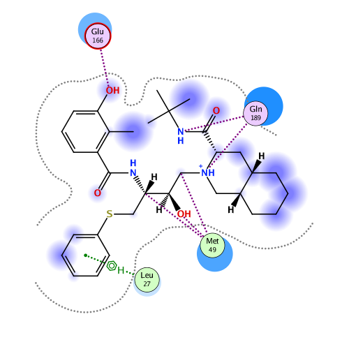 ligand interaction