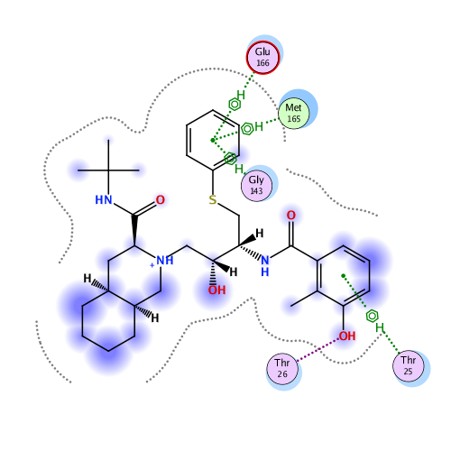 ligand interaction