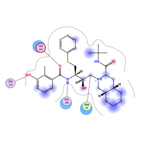 ligand interaction