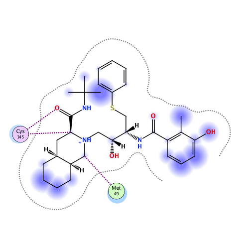 ligand interaction