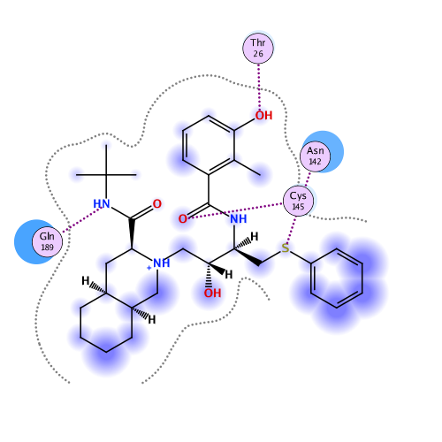 ligand interaction