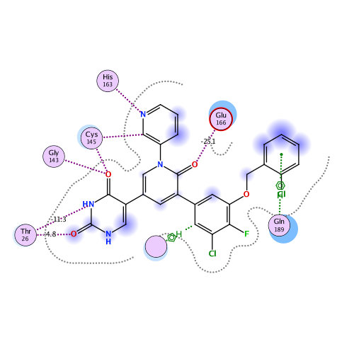 ligand interaction