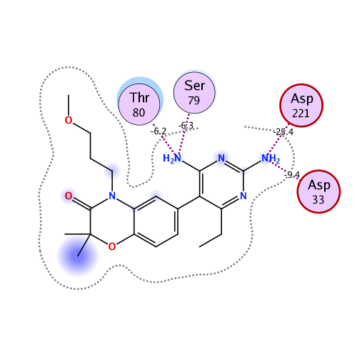 ligand interaction