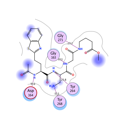 ligand interaction