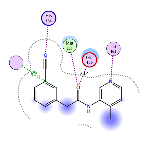 ligand interaction