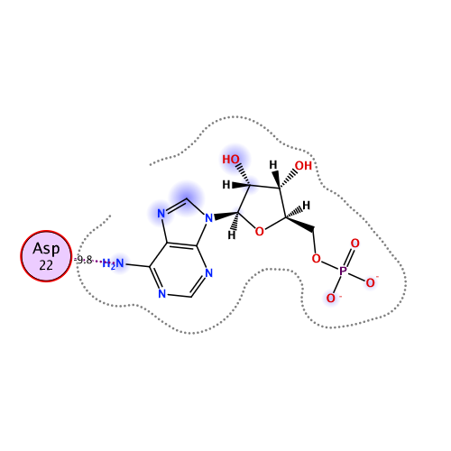 ligand interaction
