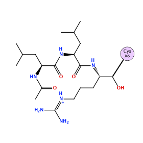 ligand structure