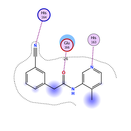 ligand interaction