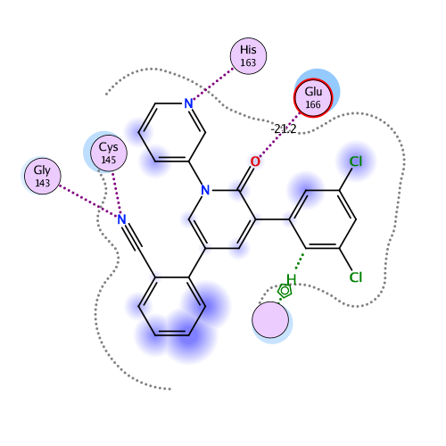 ligand interaction