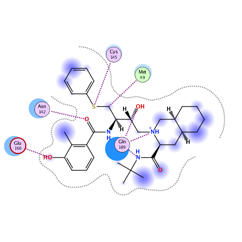 ligand interaction