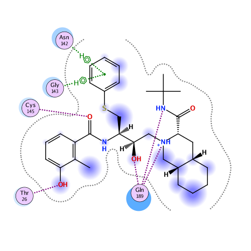 ligand interaction