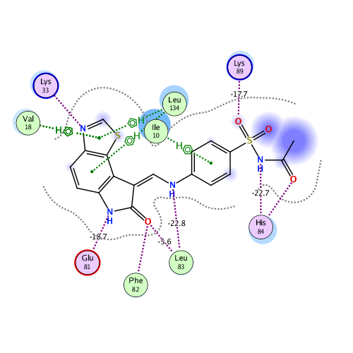 ligand interaction