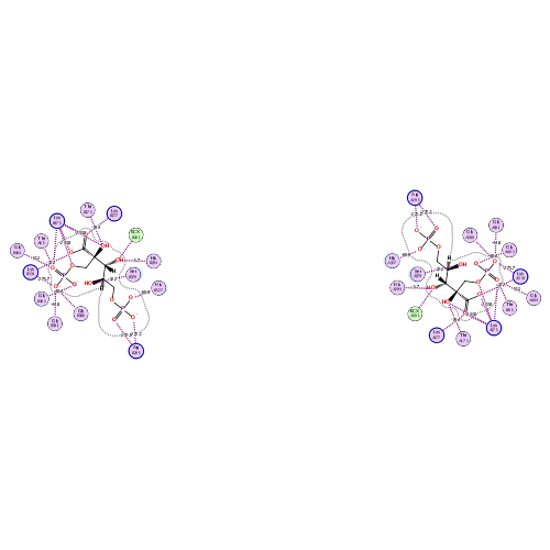 ligand interaction