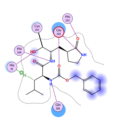 ligand interaction