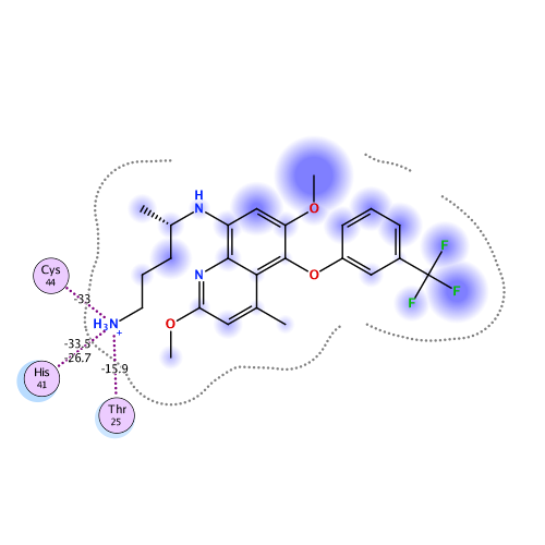ligand interaction