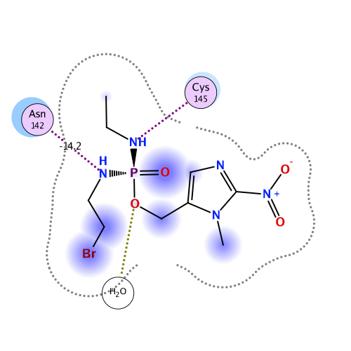 ligand interaction