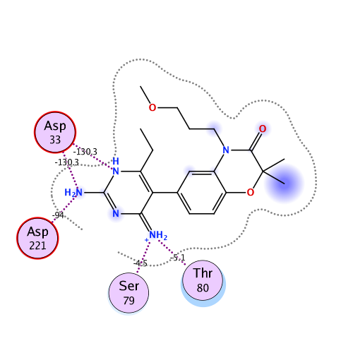 ligand interaction