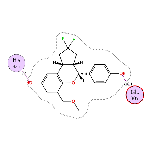 ligand interaction