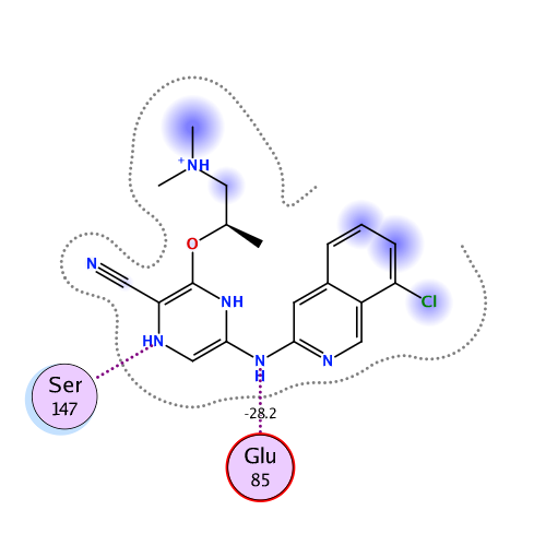 ligand interaction