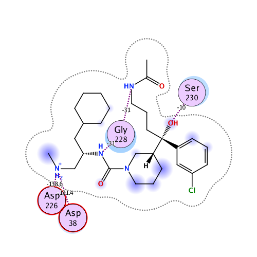 ligand interaction