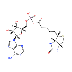 ligand structure
