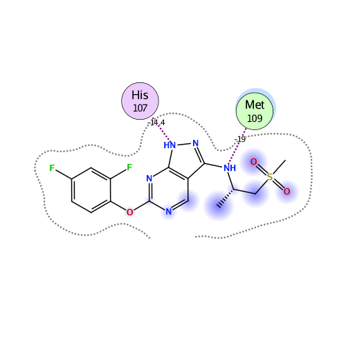 ligand interaction